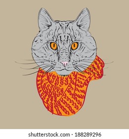 drawing head cat in knit scarf