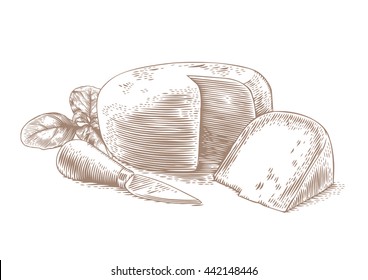 Drawing of head of cheese with cheese knife and fresh green basil