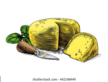 Drawing of head of cheese with cheese knife and fresh green basil