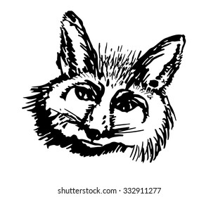 Drawing head of the fox graphic ink vector illustration