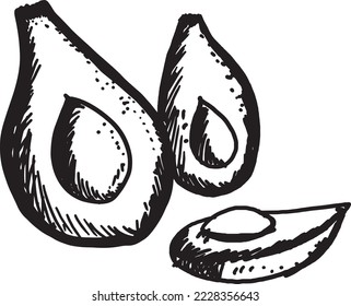 drawing of a healthy avocado