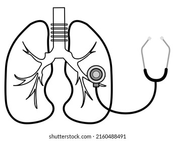 Drawing Healthy Lungs Stethoscope On White Stock Vector (Royalty Free ...