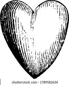 Drawing of heart, not an actual heart but it is a symbolic of love and passion., vintage line drawing or engraving illustration. 