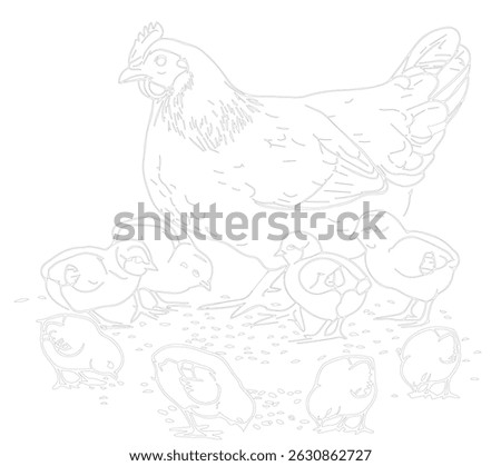 The drawing of the hen line brings the chick to eat the shell rice. It is a painting exercise for children and a vector form meditation exercise.