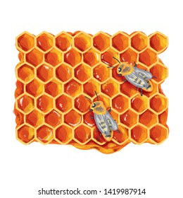 Drawing Of A Honeycomb With Bees Vector Illustration