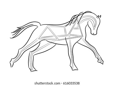 Drawing a horse
