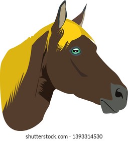 Drawing of the horse face on White blackground. Logo vector horse head