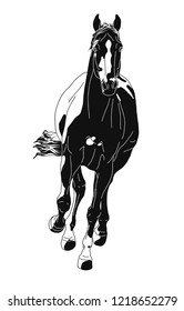 A drawing of a horse full face.