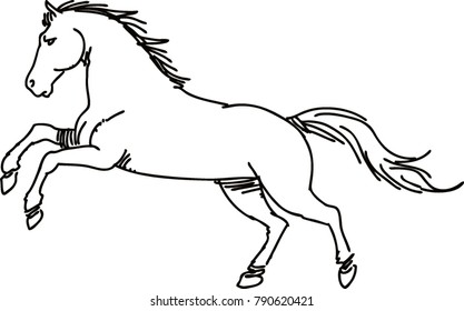 Drawing Horse Vector Stock Vector (Royalty Free) 790620421 | Shutterstock