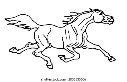 drawing,  horse, vector-isolated hand drawing