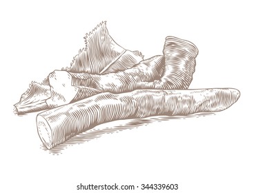 Drawing of horseradish with the leaf