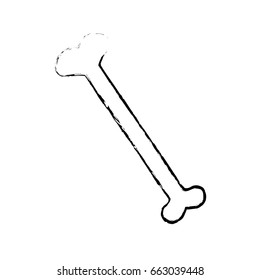 drawing human bone anatomy orthopedic
