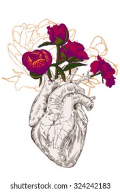 drawing Human heart with flowers background. vector
