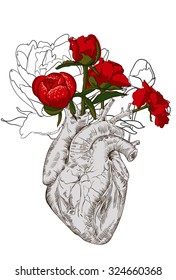 drawing Human heart with flowers background. vector