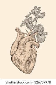 drawing Human heart with flowers background. vector