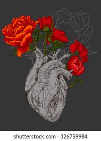 drawing Human heart with flowers background. vector