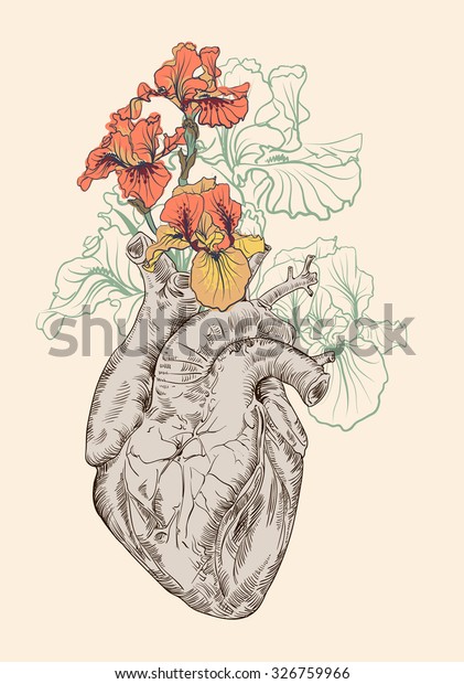 Drawing Human Heart Flowers Background Vector Stock Vector (Royalty ...