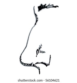 Drawing of a human nose, side profile, vector illustration.