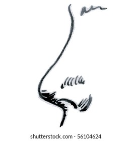 Drawing of a human nose, side profile, vector illustration.