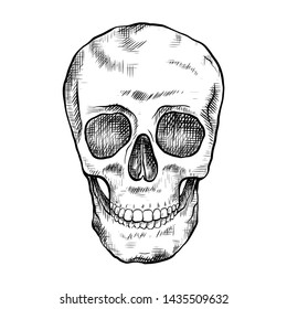 Drawing of human skull with hatching. Front view. Contour art. Black and white engraving for articles, postcards and your design.