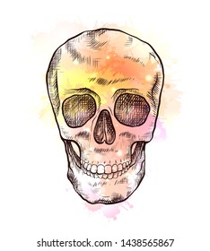 Drawing of human skull with hatching and yellow watercolor splashes. Front view. Colorful engraving art for articles, postcards and your design.