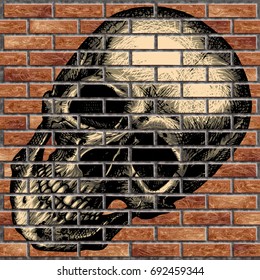 Drawing of a human skull on a brick wall