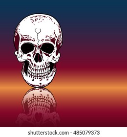Drawing human skull with reflection on color background,vector illustration
