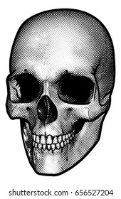 A drawing of a human skull in a vintage retro woodcut etched or engraved style