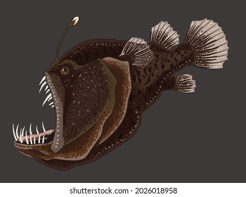 Drawing Humback Anglerfish, Deep Seafish, Art.illustration, Vector