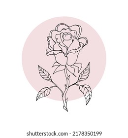 Drawing illustration abstract rose flower