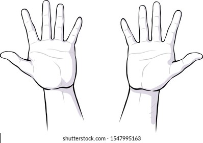 Drawing illustration of human palm hand. Vector illustration