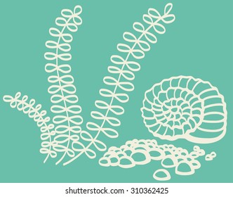Drawing illustration of shell in sea with seaweed