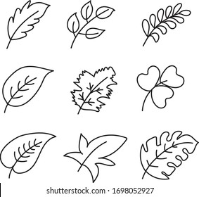 Drawing Illustration Sketch Various Leaf Shapes Stock Vector (Royalty ...