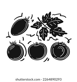 Drawing illustration of tomatoes hand drawing