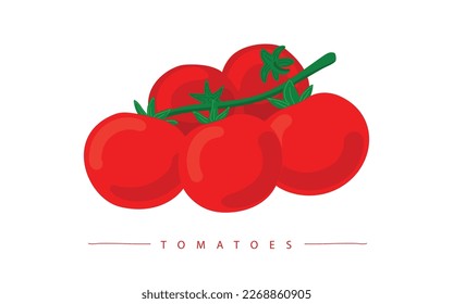 Drawing illustration of tomatoes hand drawing