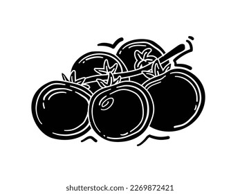 Ilustración del dibujo a mano de tomates