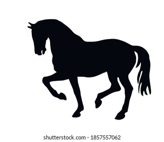  drawing isolated black silhouette of a prancing horse