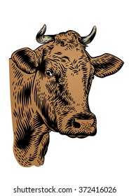 Drawing of isolated cow head with horns on the white