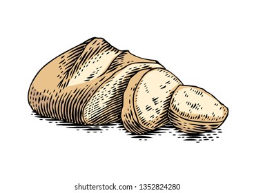 Drawing of isolated fresh bakery on the white background