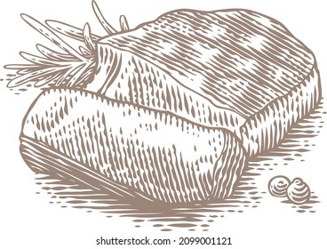 Drawing of isolated low-roast beef stake with pepper and rosemary