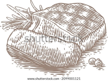 Drawing of isolated low-roast beef stake with pepper and rosemary