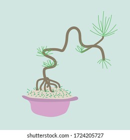 Drawing of Japanese bonsai plant on green background and pink pot in vector file