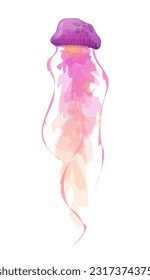Dibujo de medusas sobre fondo blanco, ilustración vectorial