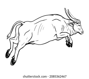 Drawing of a jumping buffalo. Black and white sketch.