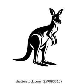 Drawing of a Kangaroo on white background