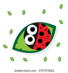 Drawing of a ladybug sitting on a green leaf.