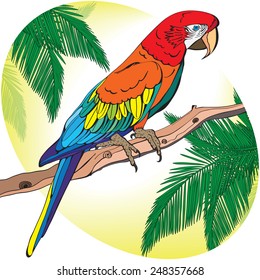 Drawing of a large parrot on a branch