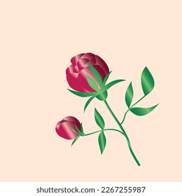 Drawing of a large red peony flower and bud on a green stem with green leaves all on a soft pink background. Use: wedding, invitation, birthday, party, holiday, banner, wrapping, table cards, frame.