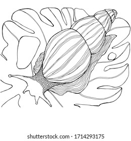 Drawing with a large snail. Hand draws coloring book for children and adults. shell, curl of a snail. The snail is creeping. Abstract illustration of a stomach. Design for coloring, textile, packaging