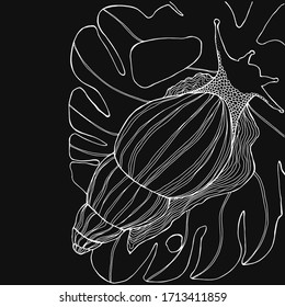 Drawing with a large white snail. Hand draws for children and adults. shell, curl of a snail. The snail is creeping. Abstract illustration of a stomach. Design for tattoo, textile, wrapping. manual 